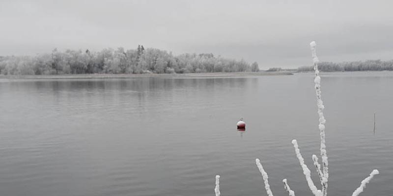 Bild på havet en grå decemberdag.